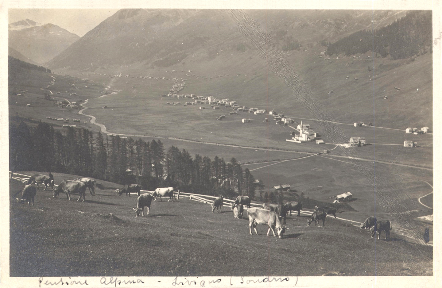 Foto d’epoca della valle di Livigno vista dai prati sopra Pemont.